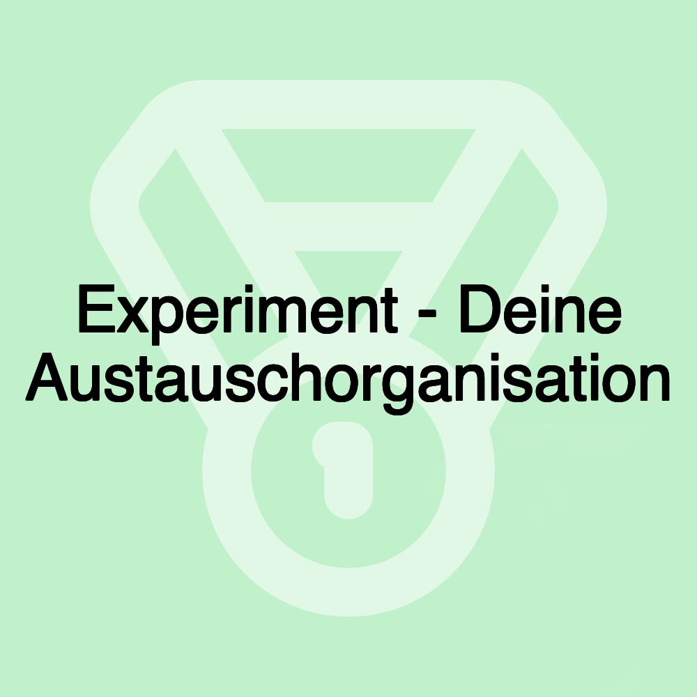 Experiment - Deine Austauschorganisation