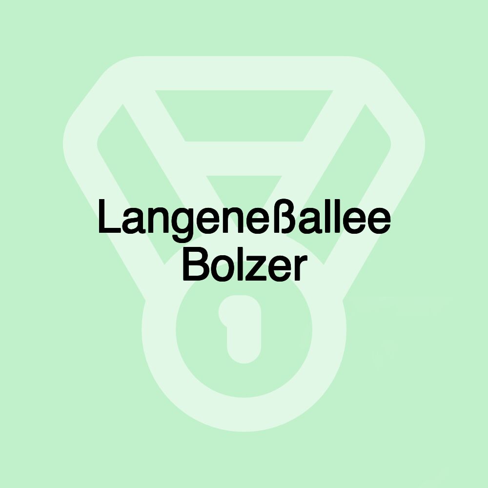 Langeneßallee Bolzer