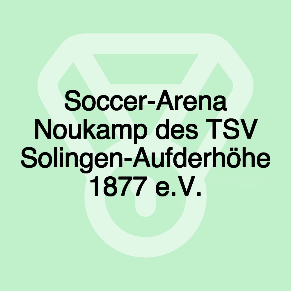 Soccer-Arena Noukamp des TSV Solingen-Aufderhöhe 1877 e.V.