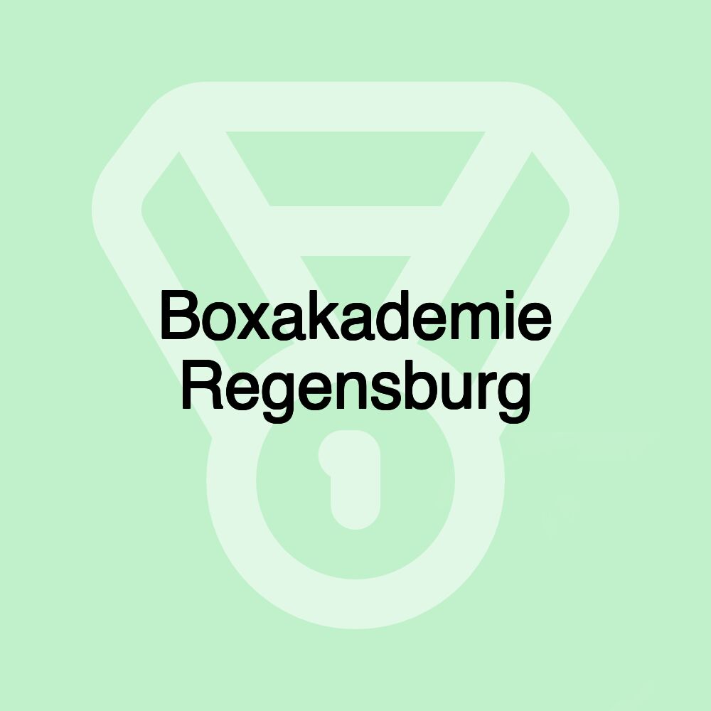 Boxakademie Regensburg