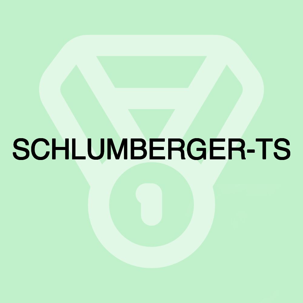 SCHLUMBERGER-TS