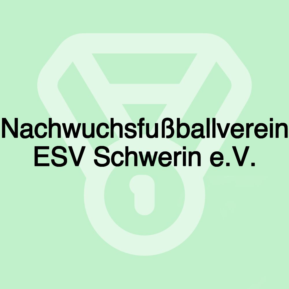 Nachwuchsfußballverein ESV Schwerin e.V.