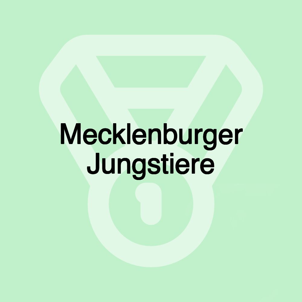 Mecklenburger Jungstiere