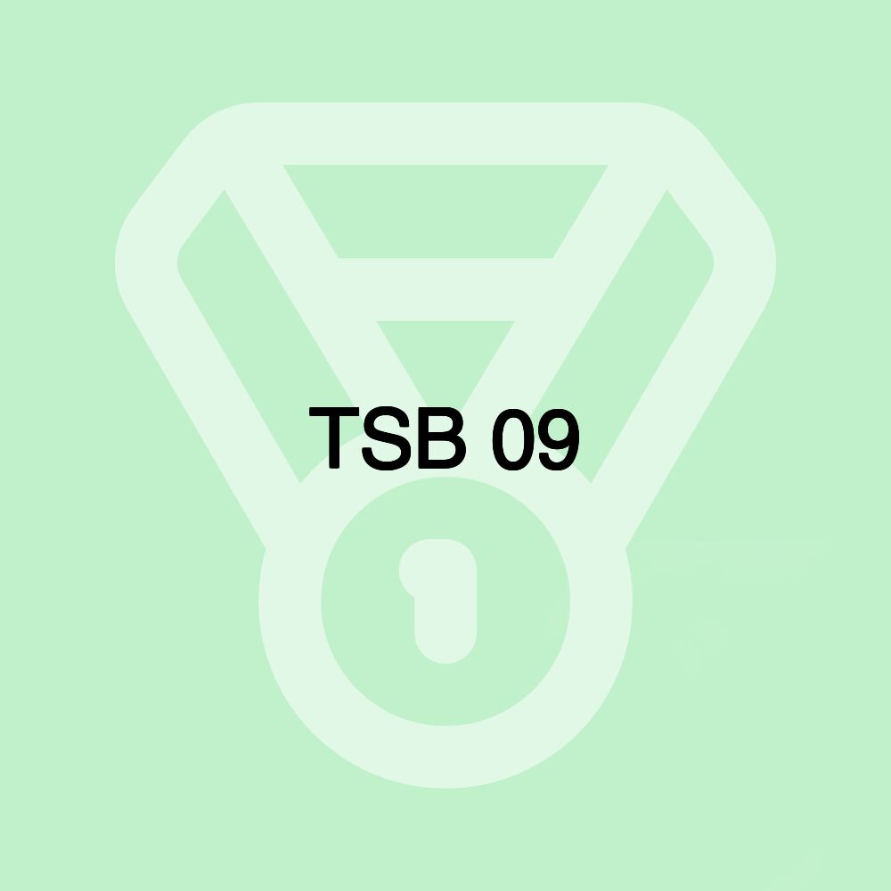 TSB 09