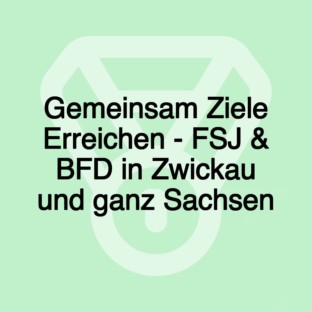 Gemeinsam Ziele Erreichen - FSJ & BFD in Zwickau und ganz Sachsen