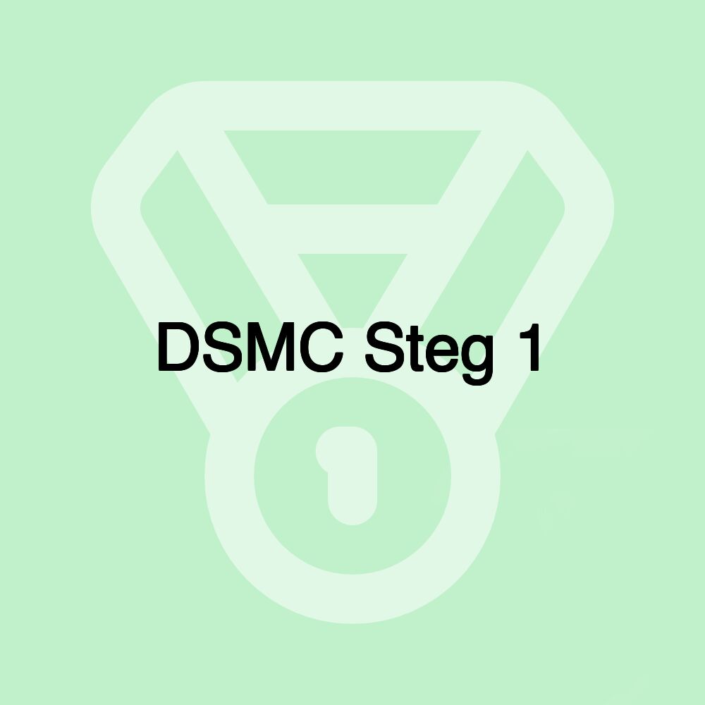 DSMC Steg 1