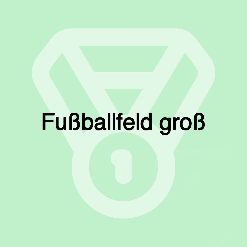 Fußballfeld groß