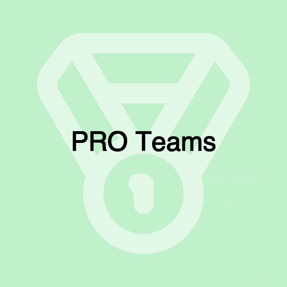 PRO Teams