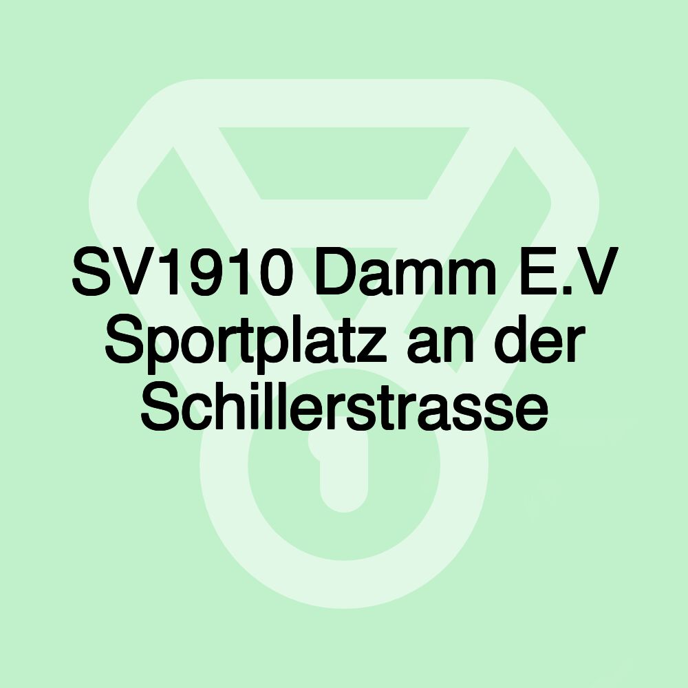 SV1910 Damm E.V Sportplatz an der Schillerstrasse