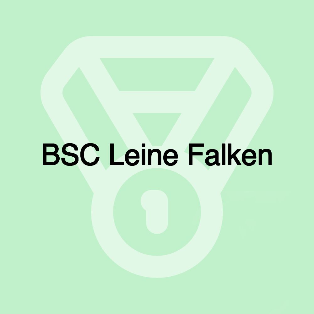 BSC Leine Falken