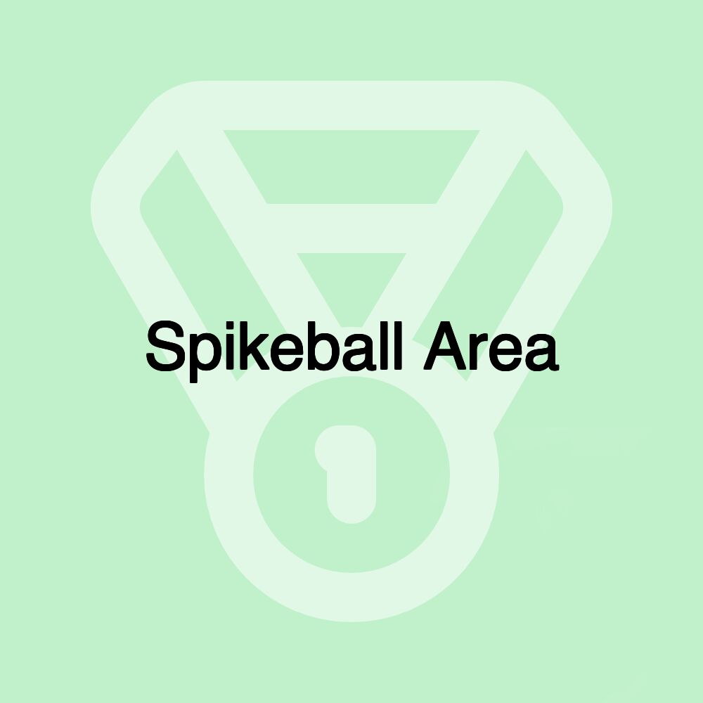 Spikeball Area