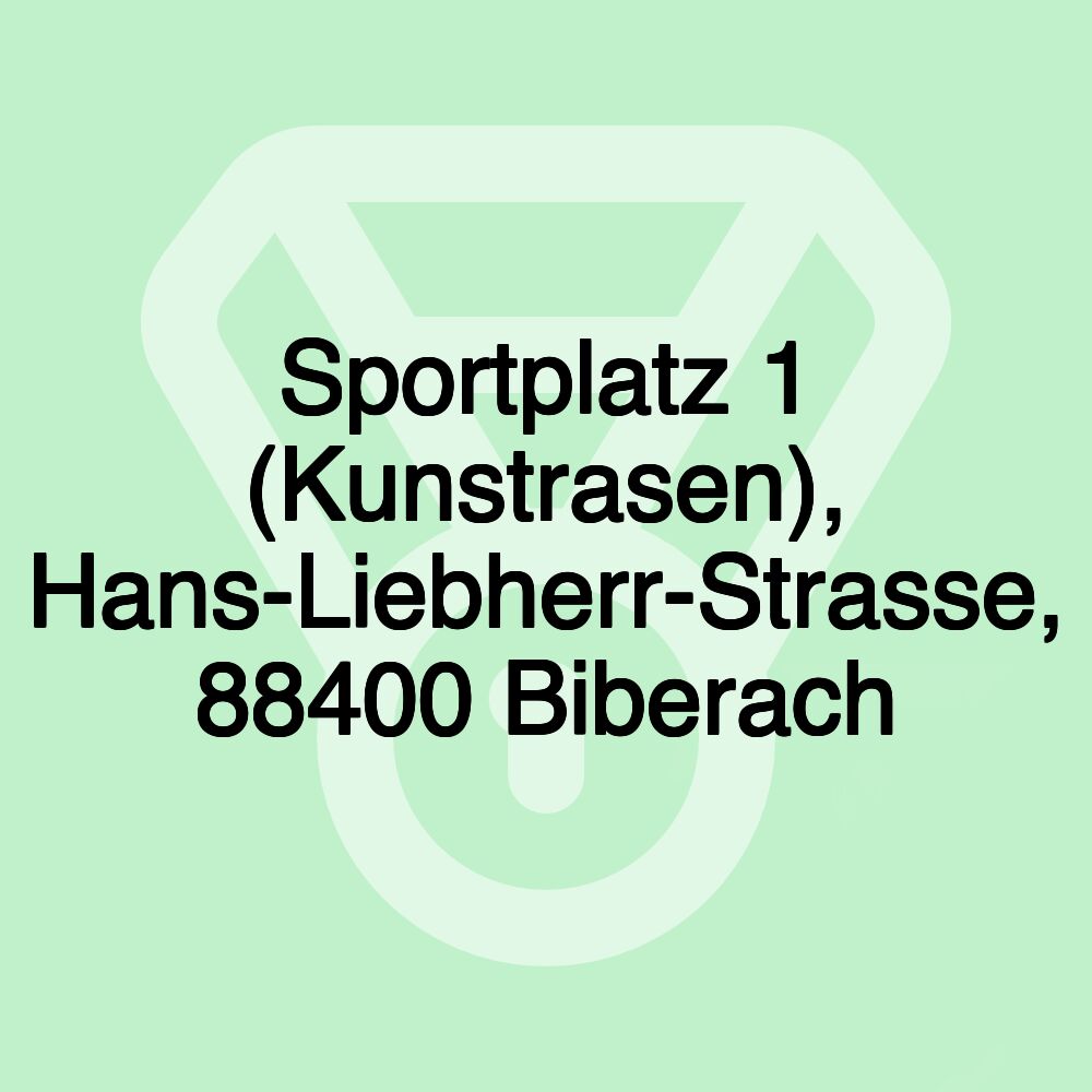 Sportplatz 1 (Kunstrasen), Hans-Liebherr-Strasse, 88400 Biberach