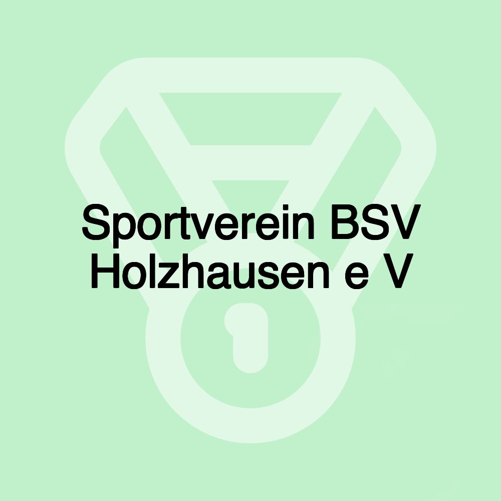 Sportverein BSV Holzhausen e V