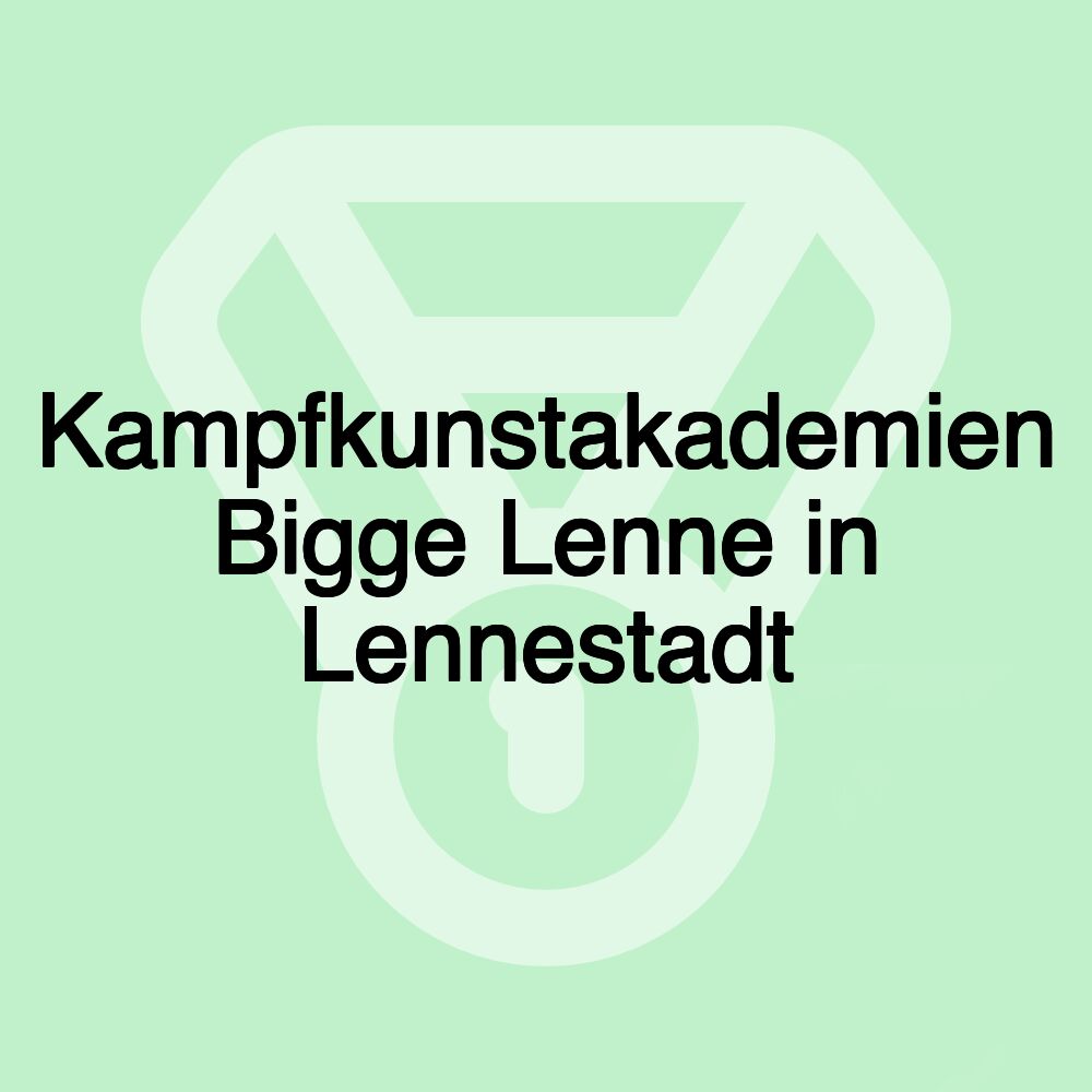 Kampfkunstakademien Bigge Lenne in Lennestadt