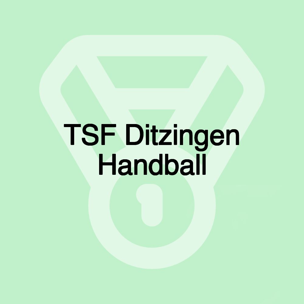 TSF Ditzingen Handball