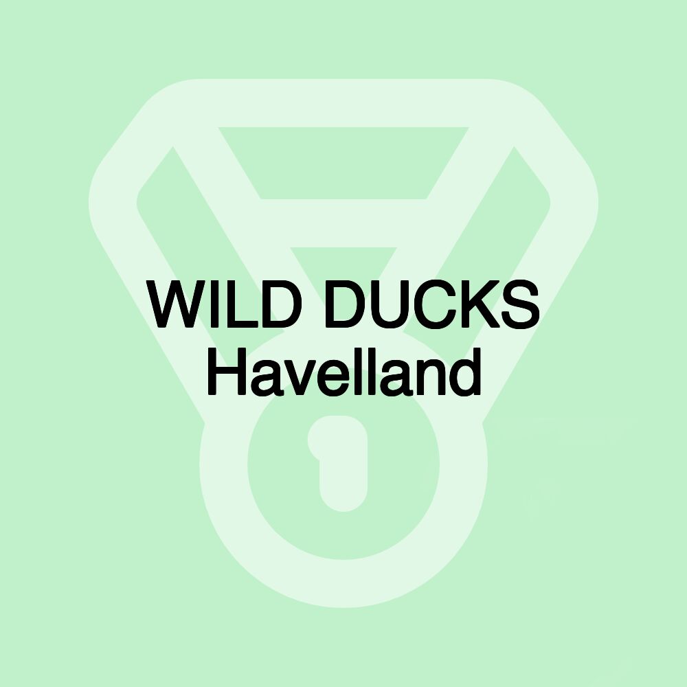 WILD DUCKS Havelland