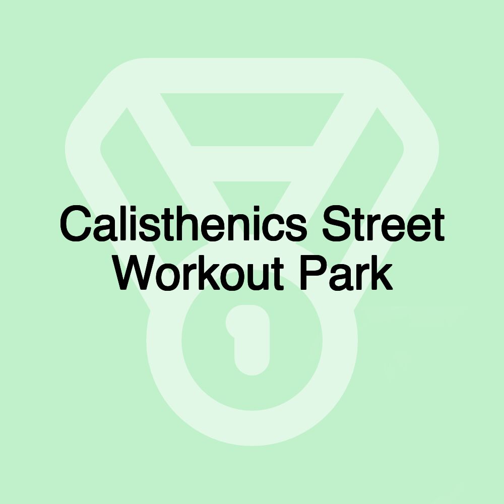 Calisthenics Street Workout Park