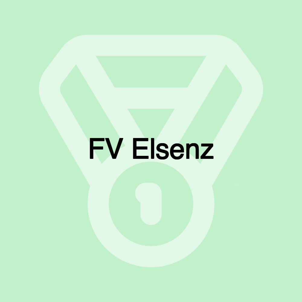 FV Elsenz