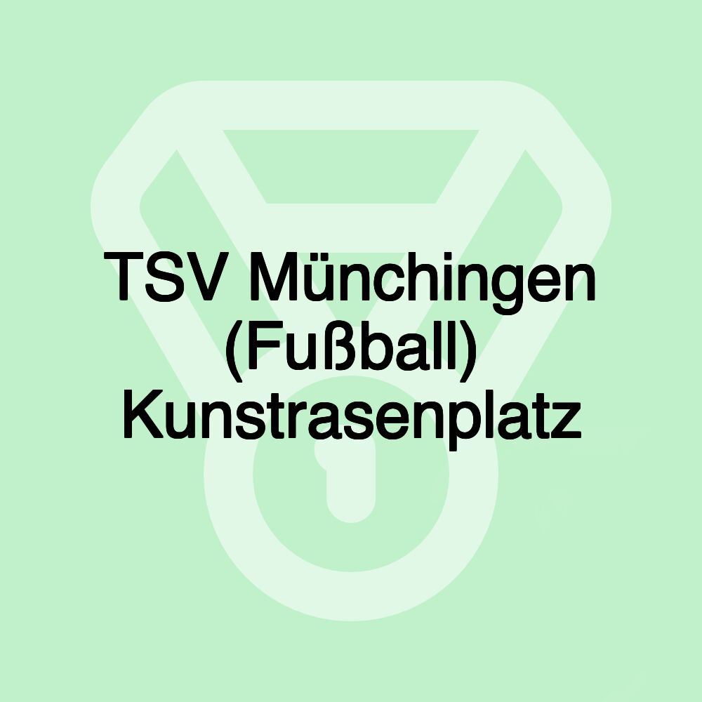 TSV Münchingen (Fußball) Kunstrasenplatz