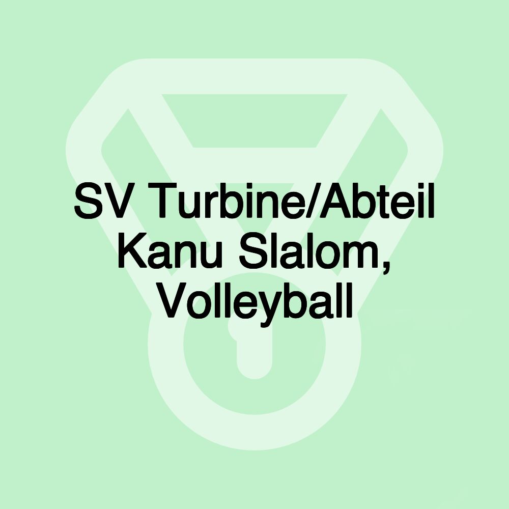 SV Turbine/Abteil Kanu Slalom, Volleyball