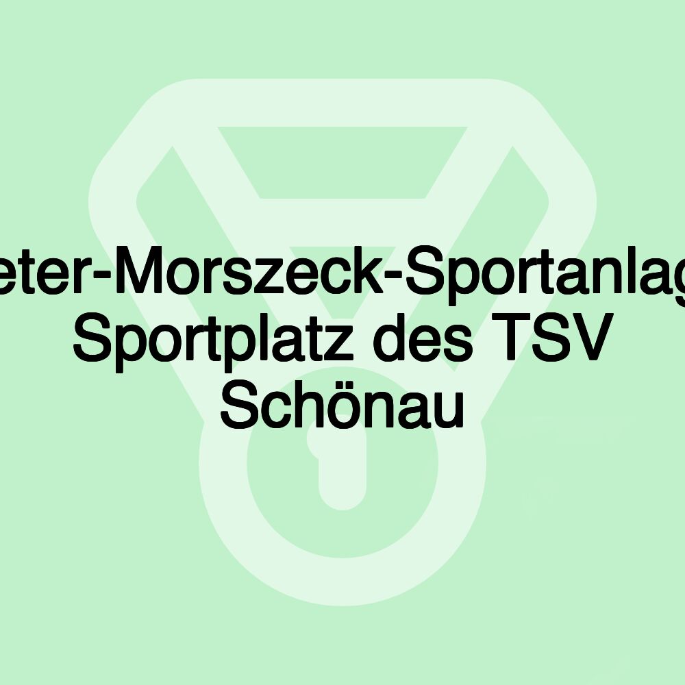 Dieter-Morszeck-Sportanlage, Sportplatz des TSV Schönau