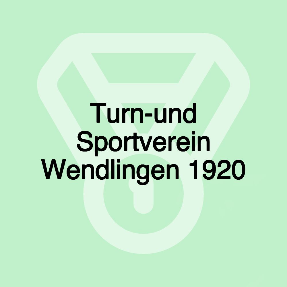 Turn-und Sportverein Wendlingen 1920