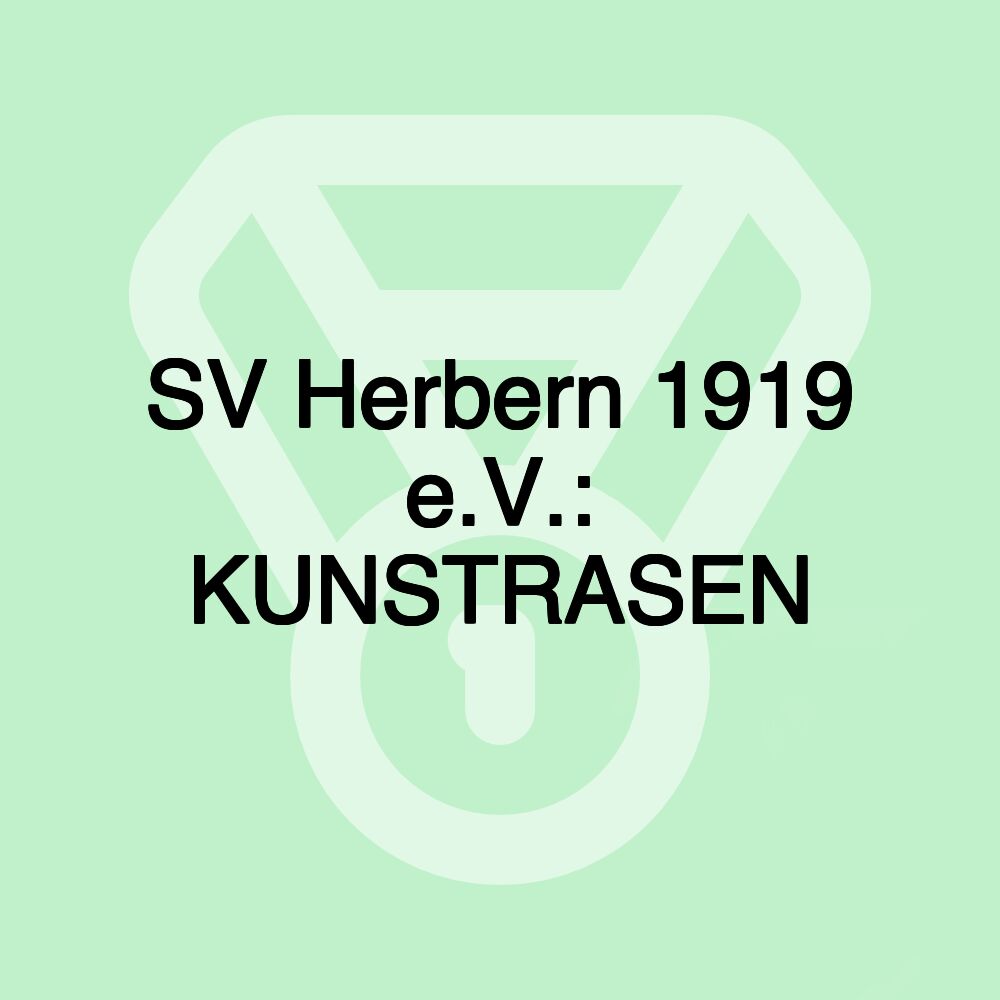 SV Herbern 1919 e.V.: KUNSTRASEN