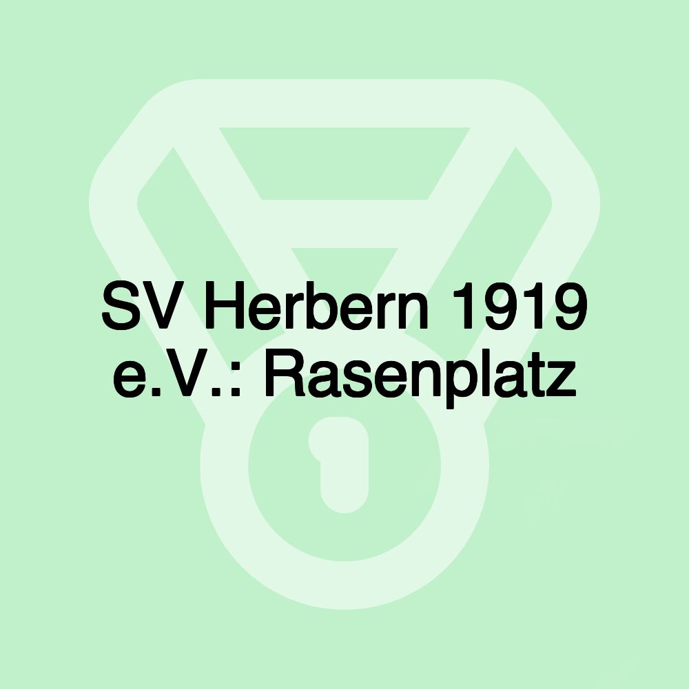 SV Herbern 1919 e.V.: Rasenplatz