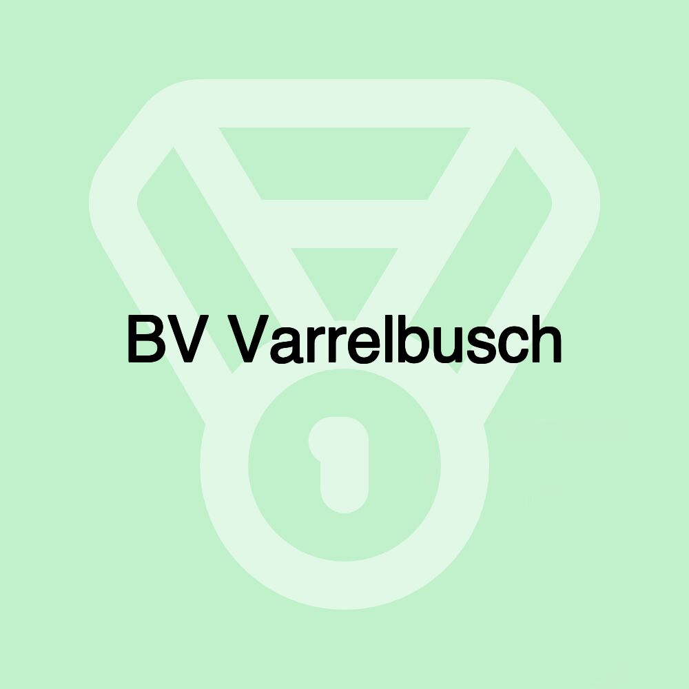 BV Varrelbusch