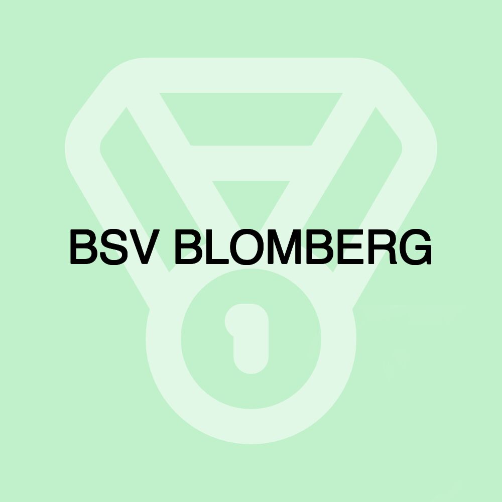 BSV BLOMBERG