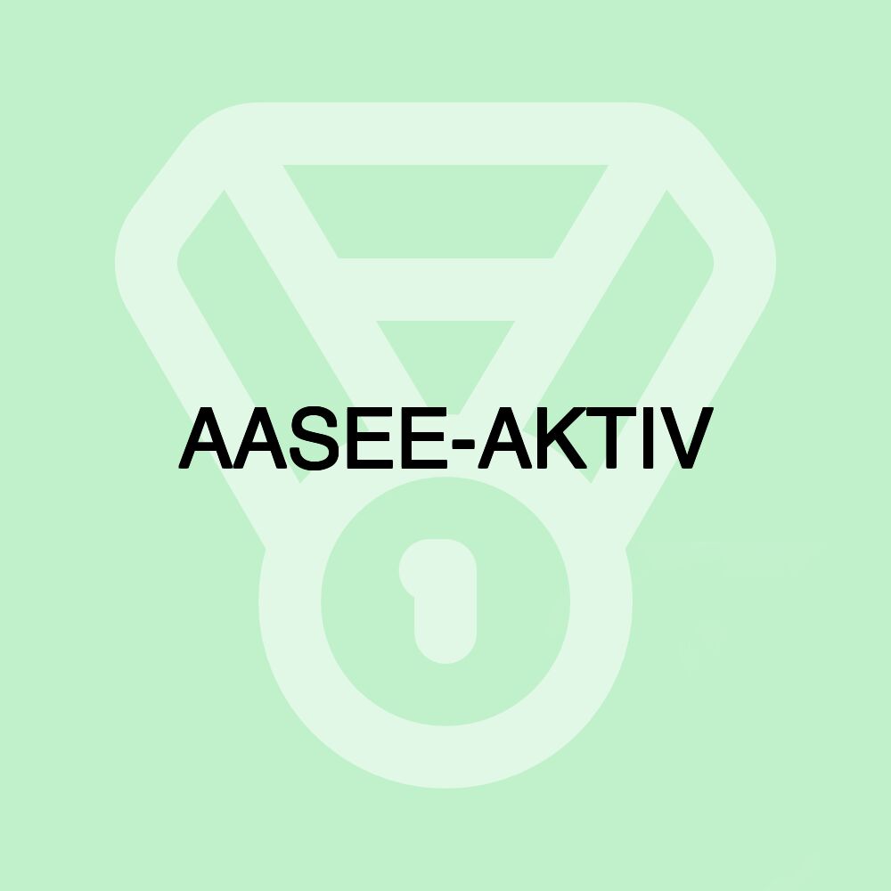 AASEE-AKTIV