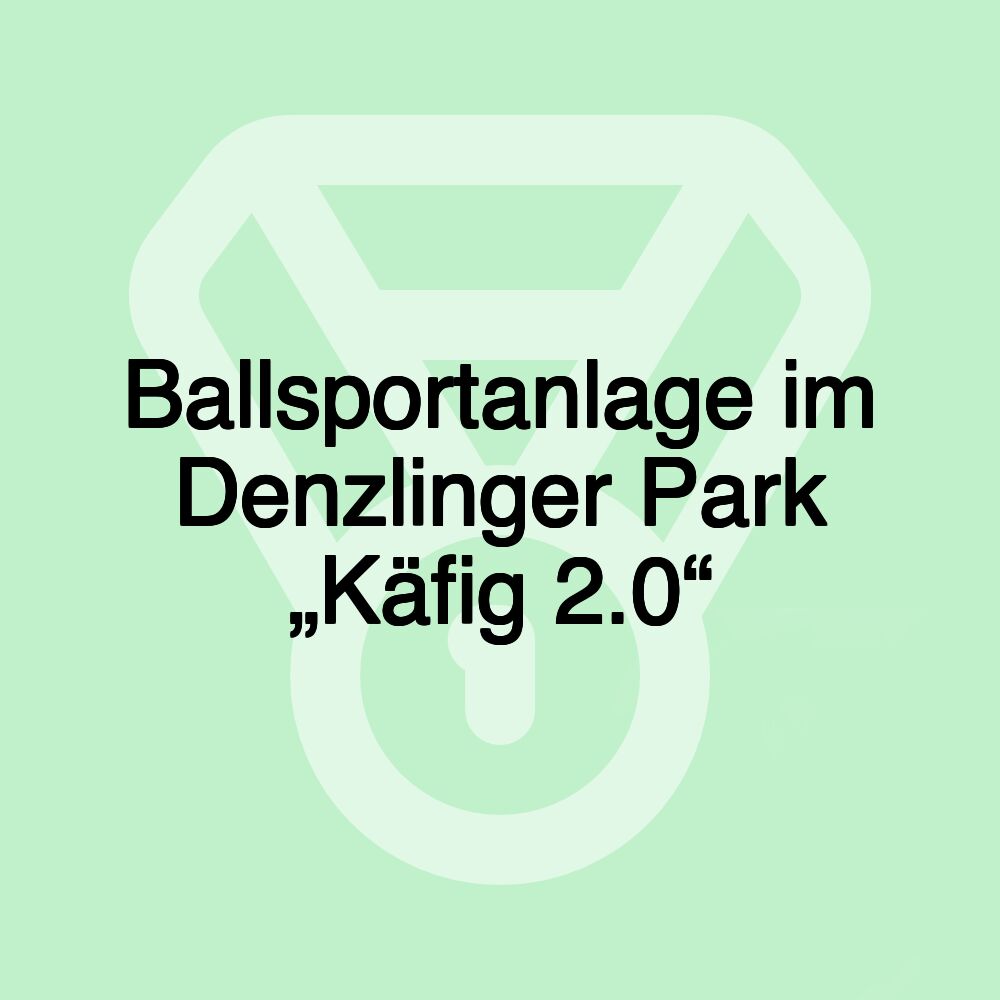 Ballsportanlage im Denzlinger Park „Käfig 2.0“