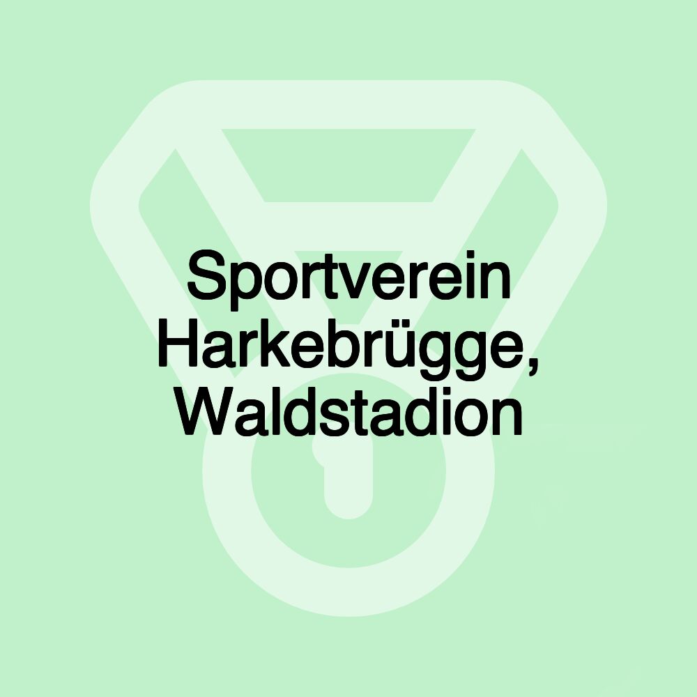 Sportverein Harkebrügge, Waldstadion