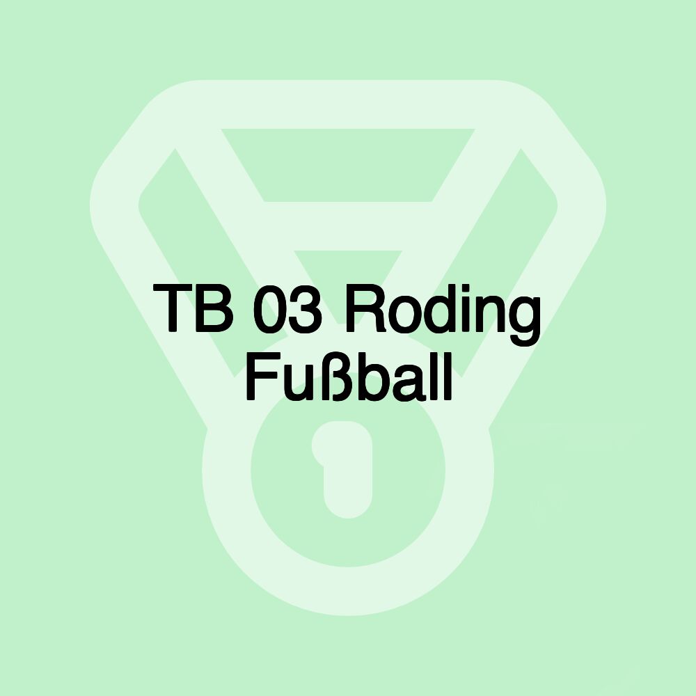 TB 03 Roding Fußball