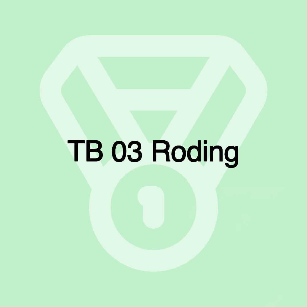 TB 03 Roding