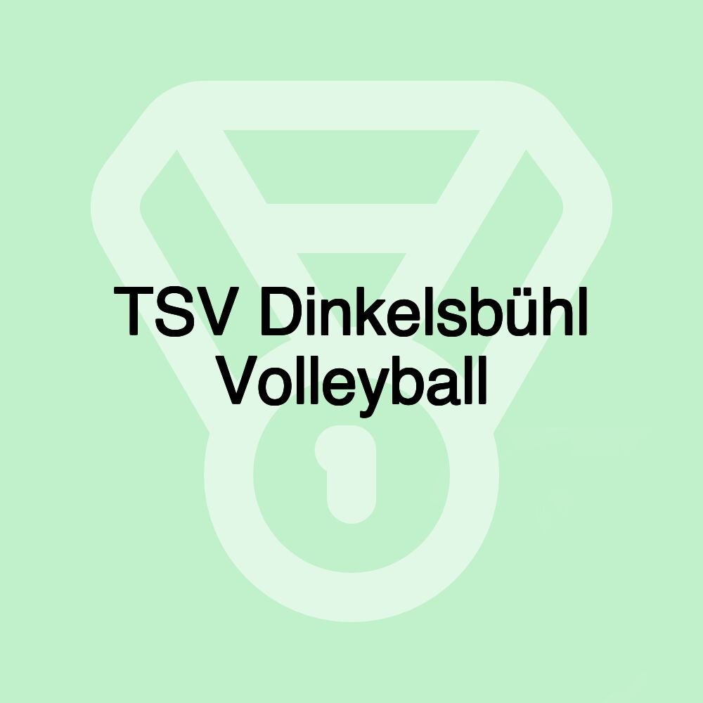 TSV Dinkelsbühl Volleyball