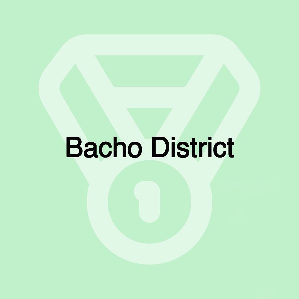 Bacho District