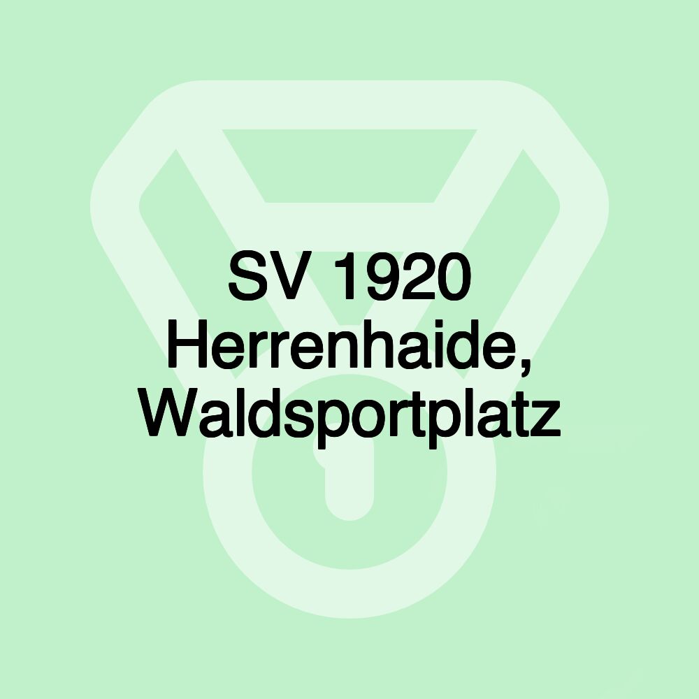 SV 1920 Herrenhaide, Waldsportplatz