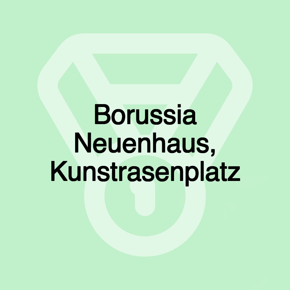 Borussia Neuenhaus, Kunstrasenplatz