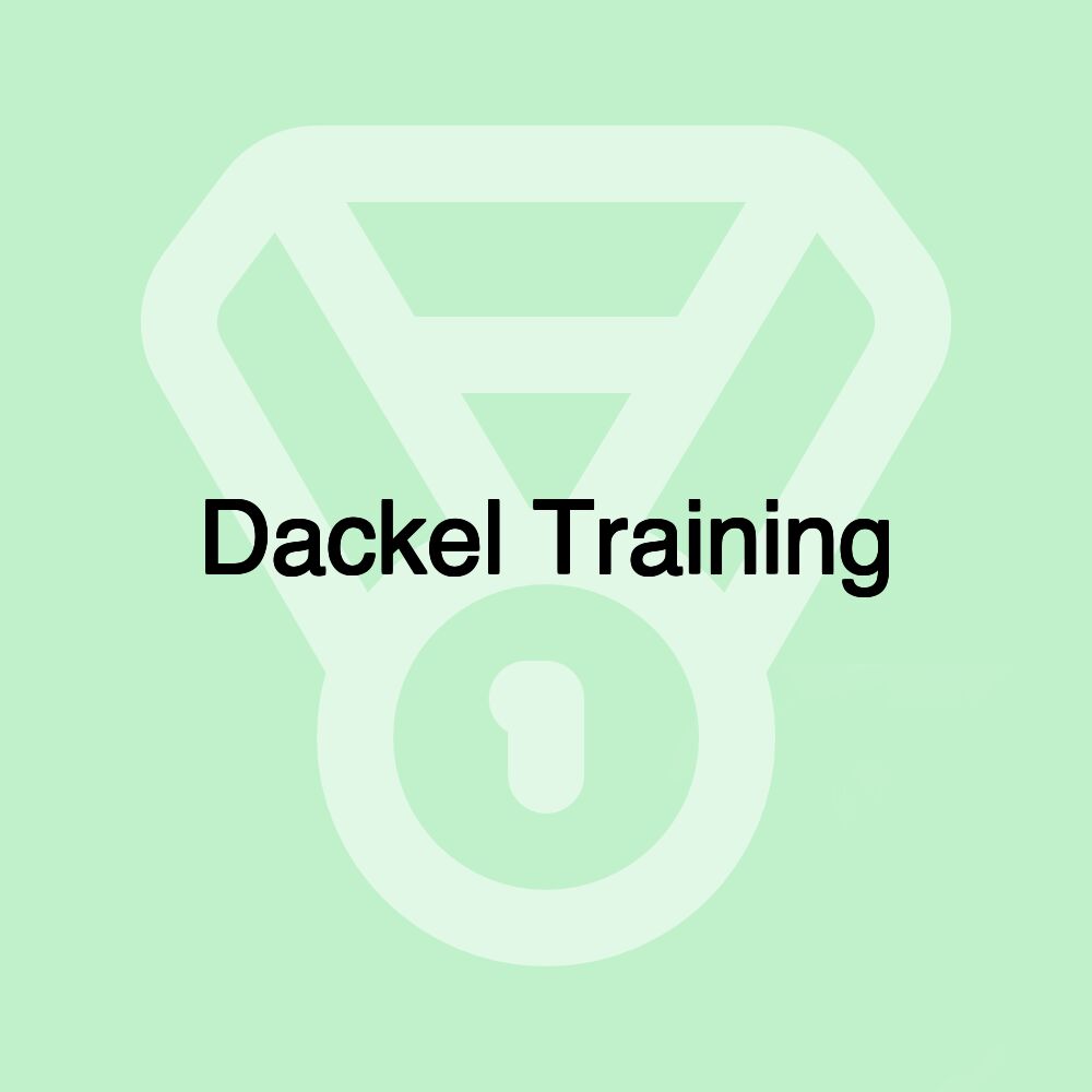 Dackel Training