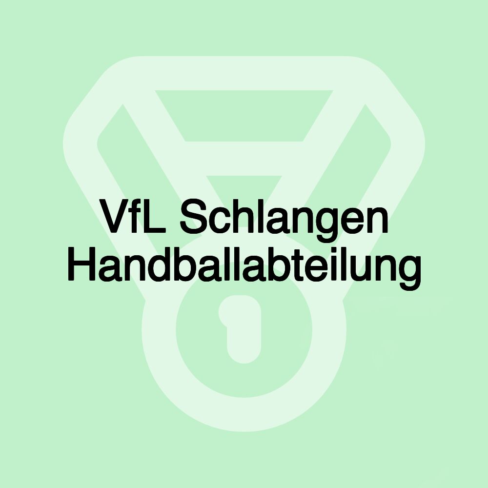 VfL Schlangen Handballabteilung