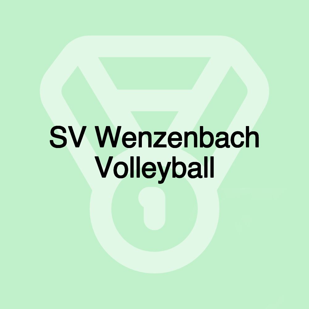 SV Wenzenbach Volleyball