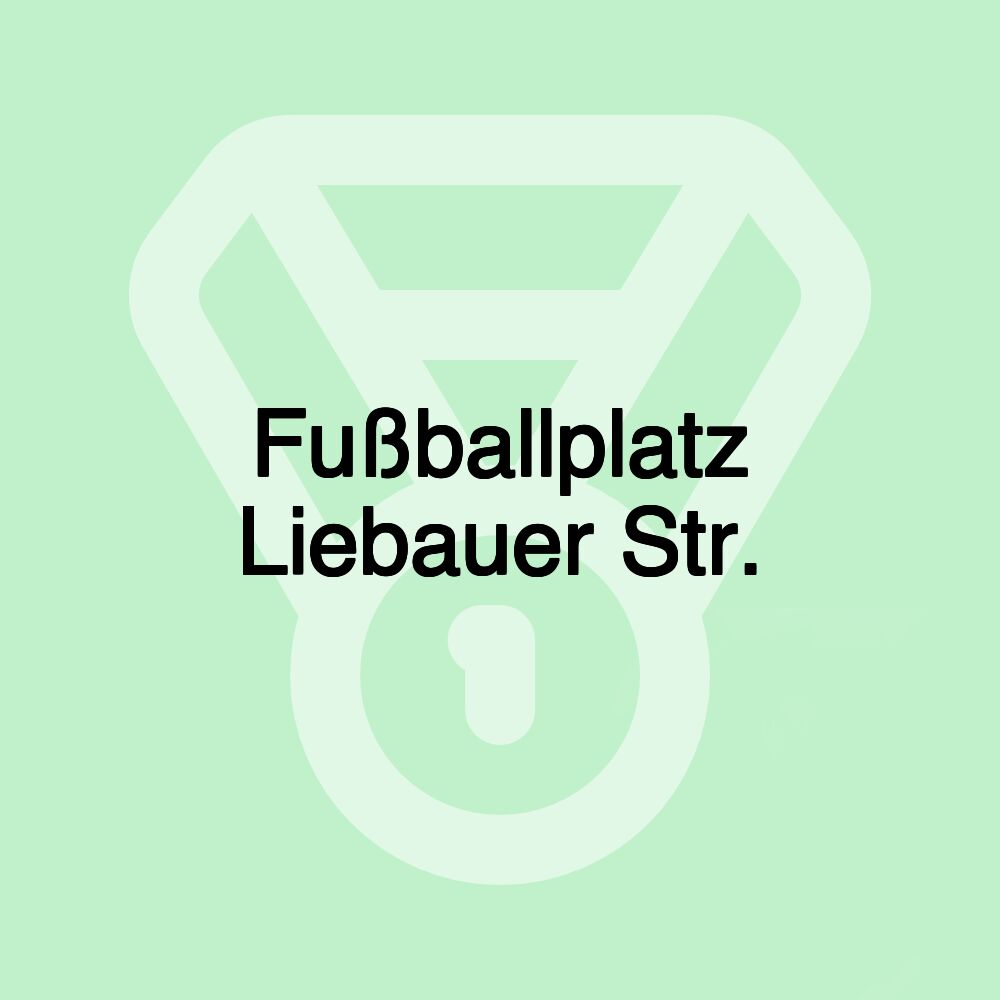 Fußballplatz Liebauer Str.