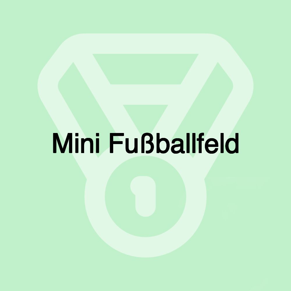 Mini Fußballfeld