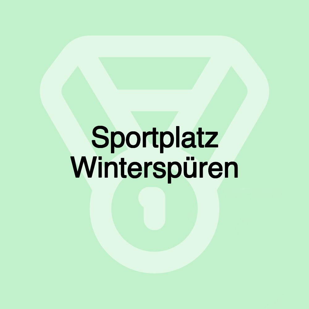 Sportplatz Winterspüren