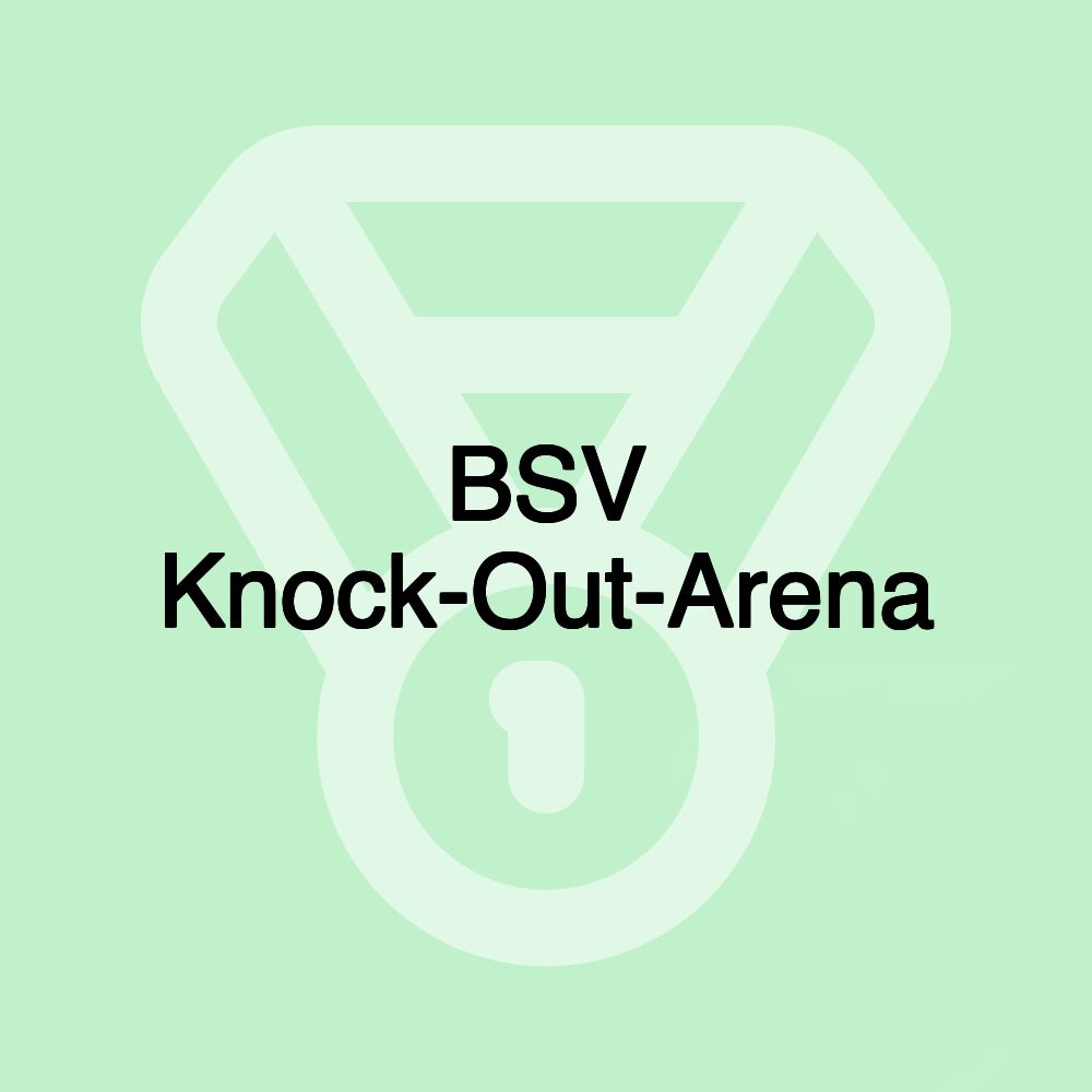 BSV Knock-Out-Arena