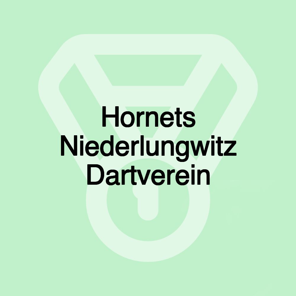 Hornets Niederlungwitz Dartverein